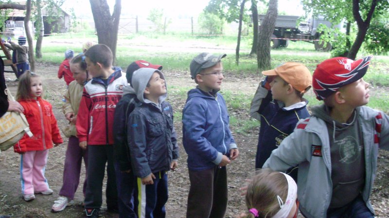 2011 05 02 Vadaspark 069.jpg